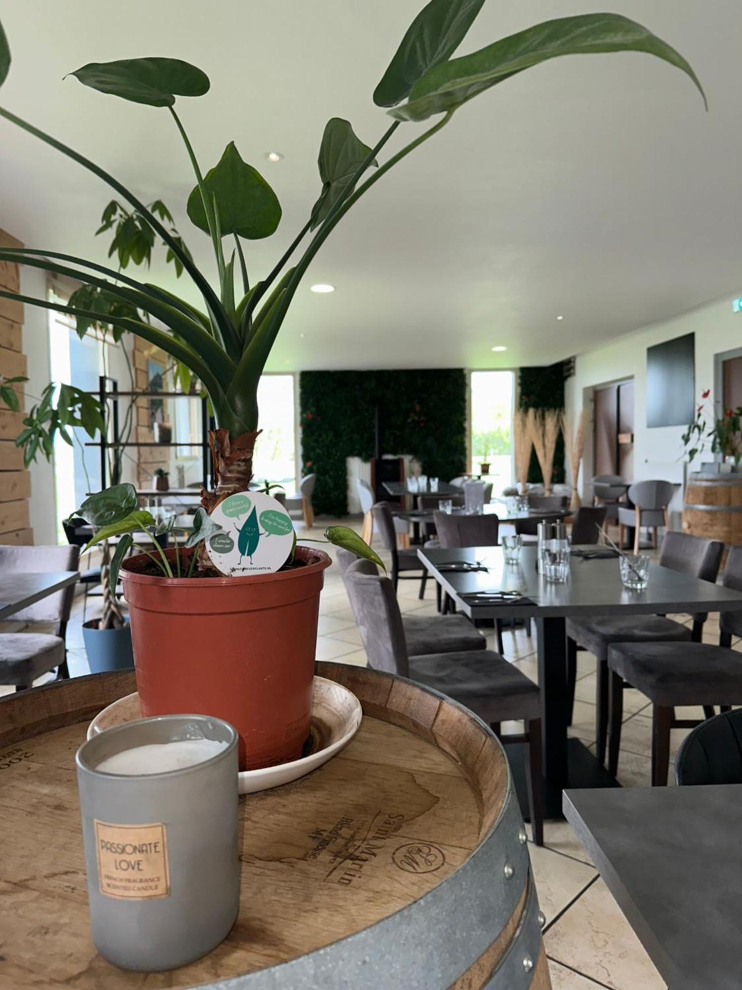Logis Hotel Volcan Sancy Nébouzat Eksteriør billede